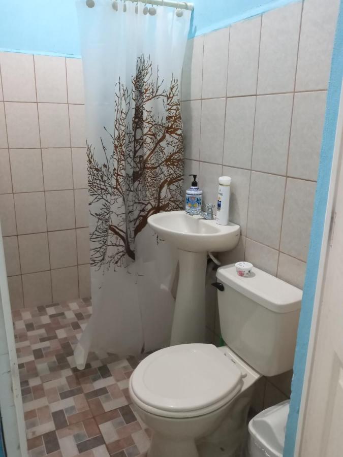 Hospedaje Hefziba 莫约加尔帕 外观 照片