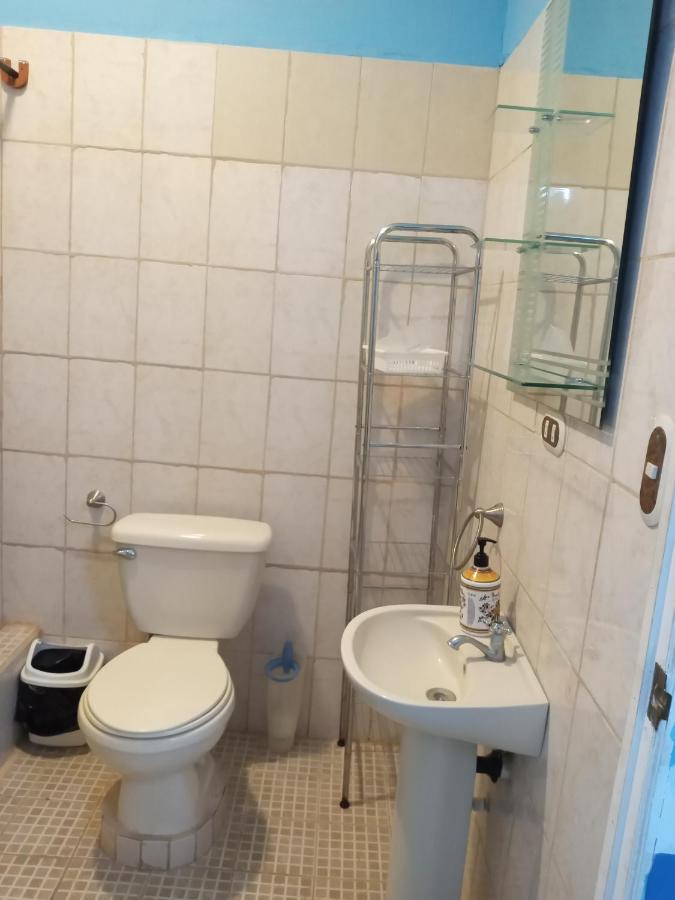 Hospedaje Hefziba 莫约加尔帕 外观 照片